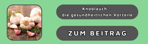 Beitrag Knoblauch